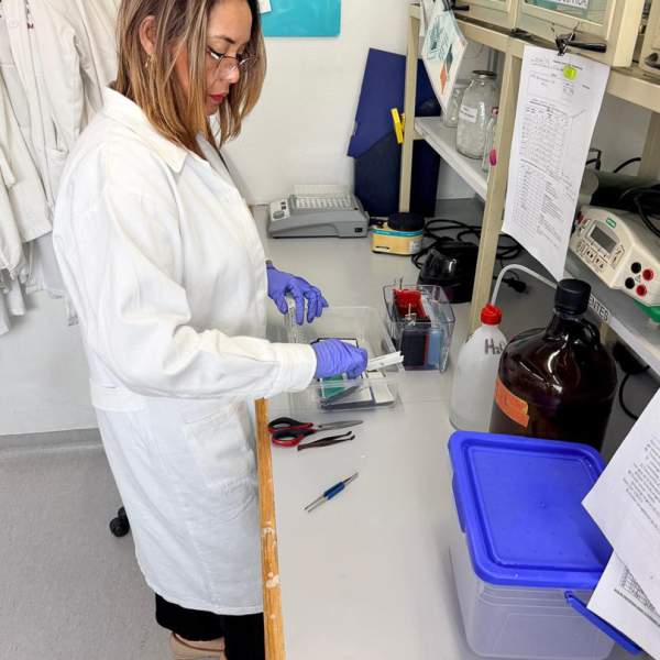 Investigadores de la UES fortalecen la ciencia con estancias en la UNAM